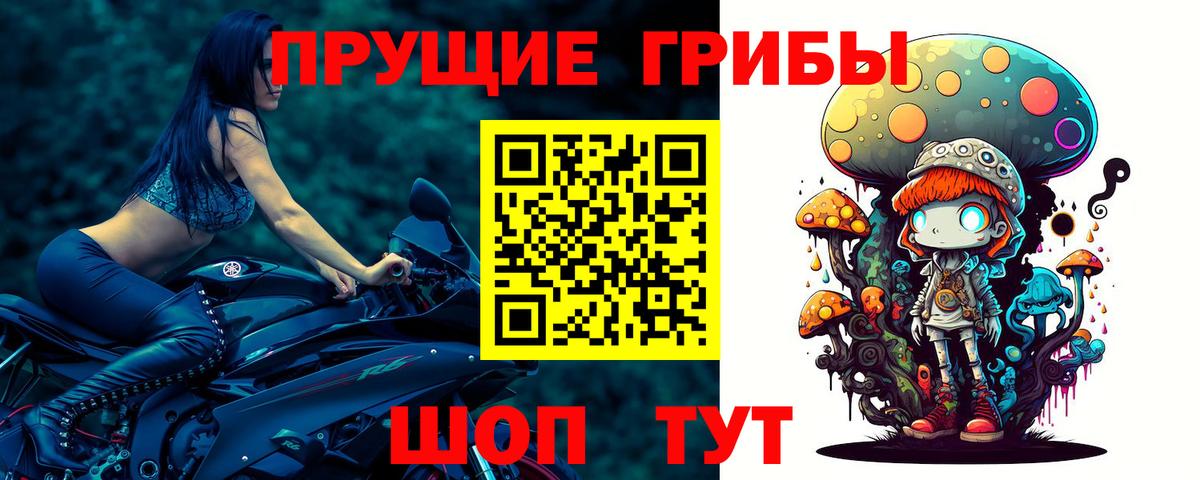 Галлюциногенные грибы Magic Shrooms  наркота  Дедовск  Вход с VPN 